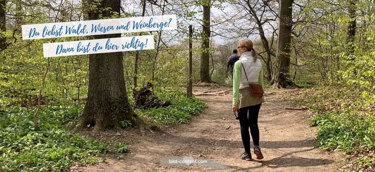 Kurz vor der Kreuzeichenwiese auf Stadtwanderweg 4a